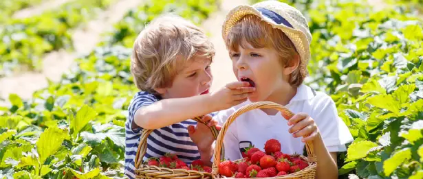 Allergie alimentaire